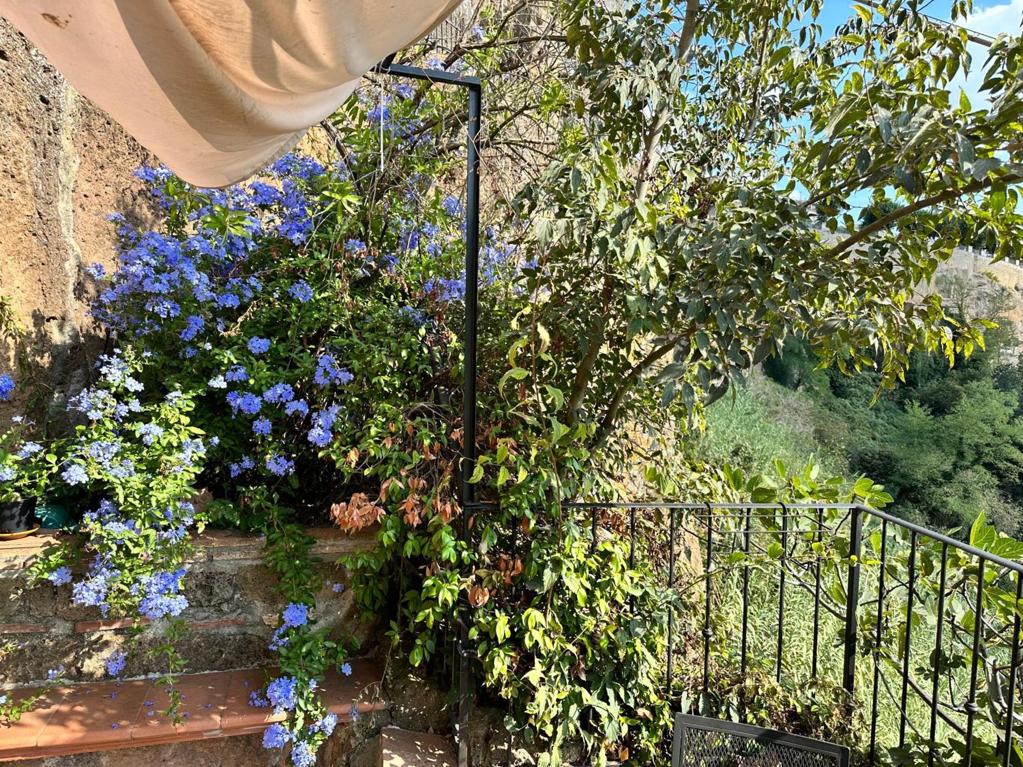 Terrazza Sul Tufo Villa Pitigliano Bagian luar foto